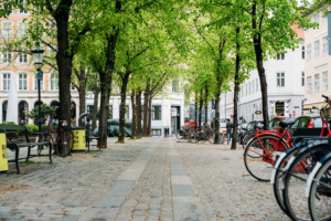 Seven Facts about Healthcare in Denmark