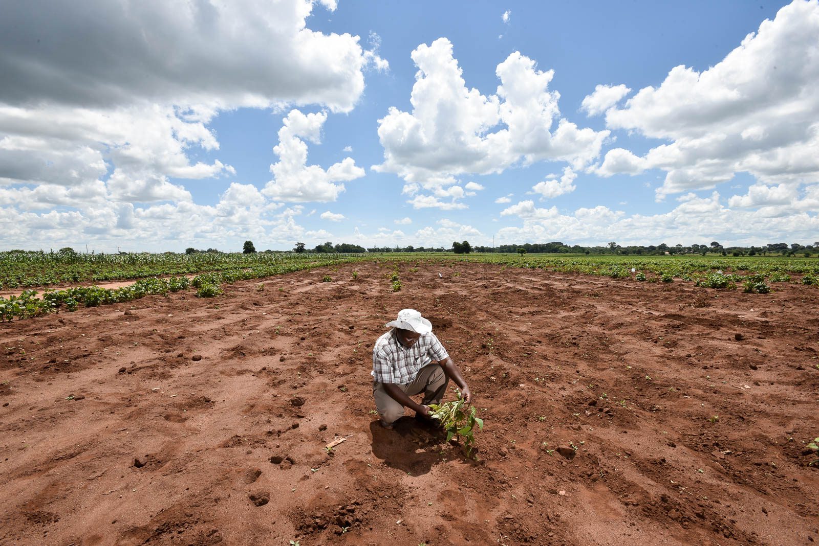 Severe Land Degradation in Malawi: Its Cause and Solution