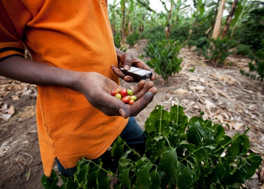 Small Farmers WeFarm Internet