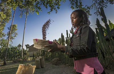 Smallholder Market Support