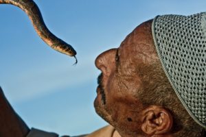 Snakebite Envenoming in India
