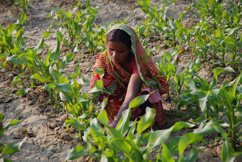 Soil Erosion in India