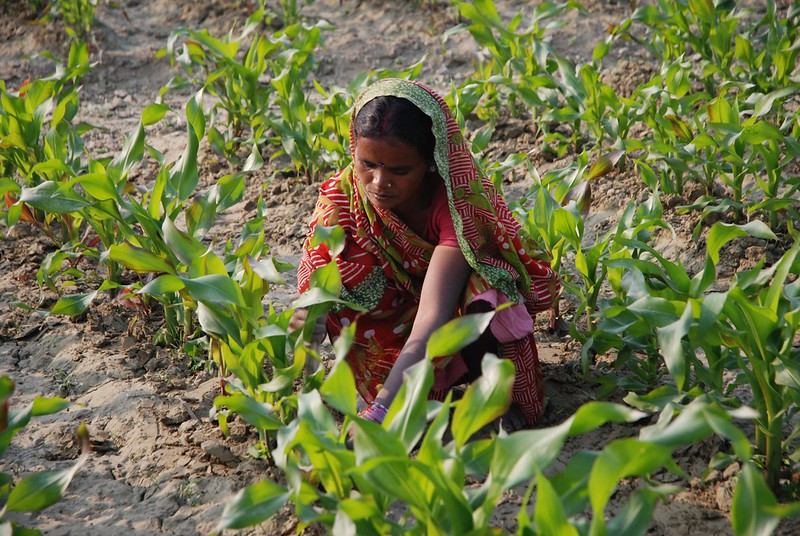 Soil Erosion in India
