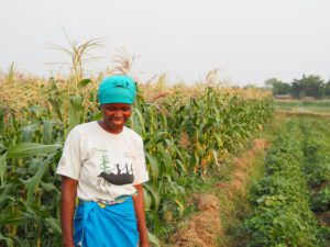 Solar Energy in Benin