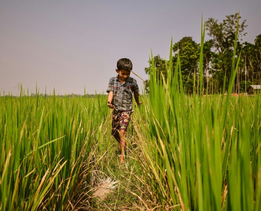 Fighting Hunger in India