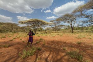Solar-Powered Irrigation Pumps in Kenya
