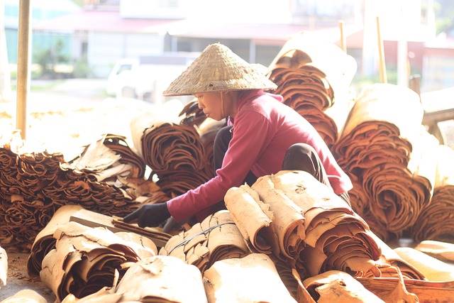 Spices Alleviating Poverty in Vietnam