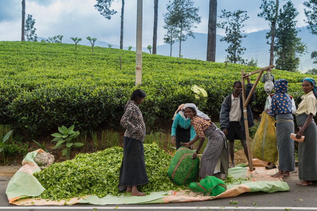 Sri Lanka’s Economic Crisis
