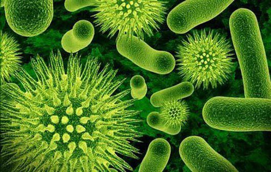 Superbugs