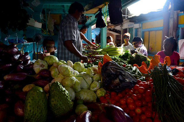 Sustainable Agriculture in Guyana