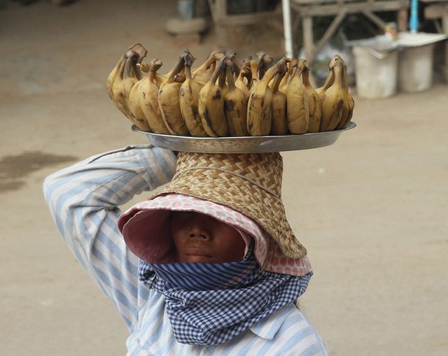 Sustainable Agriculture in Laos