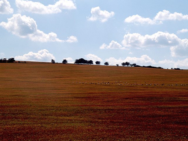 Sustainable Agriculture in Moldova