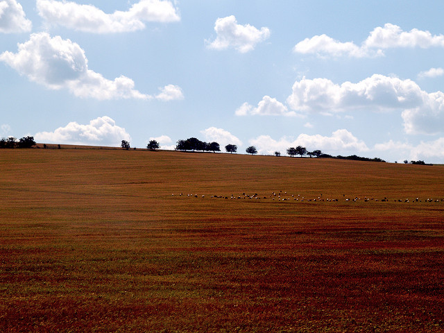 Sustainable Agriculture in Moldova