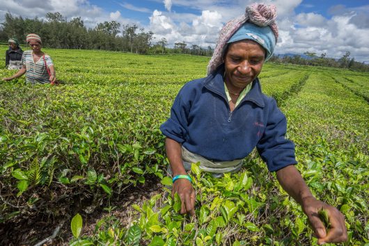 Sustainable Agriculture in Papua New Guinea