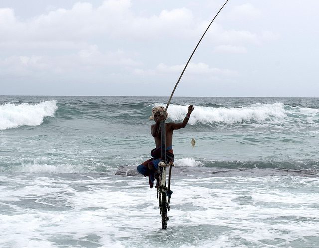 Sustainable Agriculture in Comoros
