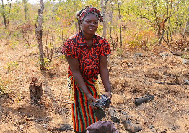 Sustainable Agriculture in Zambia