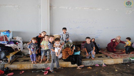 Economics and Refugees-TBP