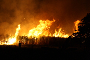 Thailand's Burning Season and Poverty