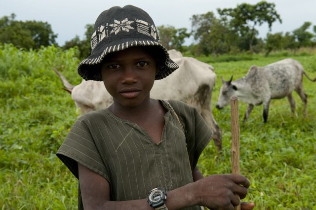 Youth Apprenticeships in Nigeria 