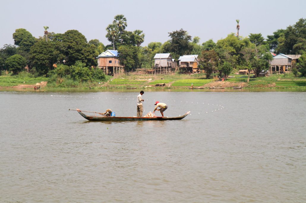 The Cambodian Fish Industry