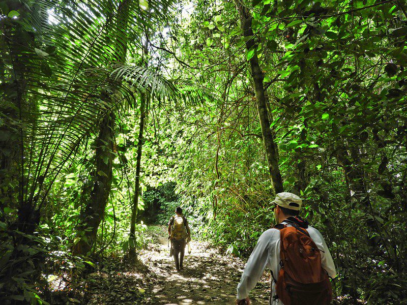 The Darién Gap
