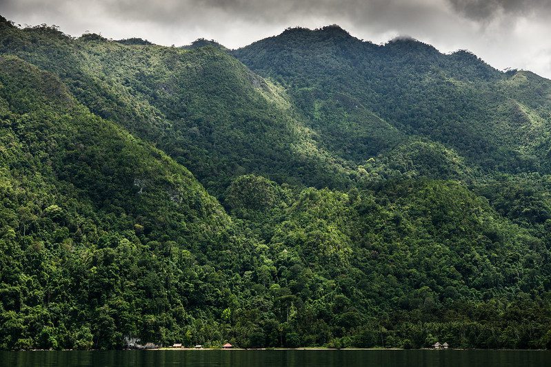 The Decline of Deforestation in Indonesia