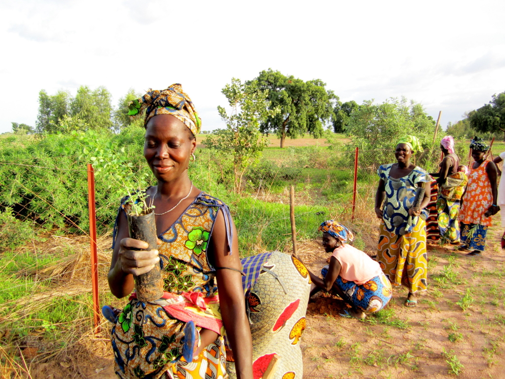 agriculture in Senegal