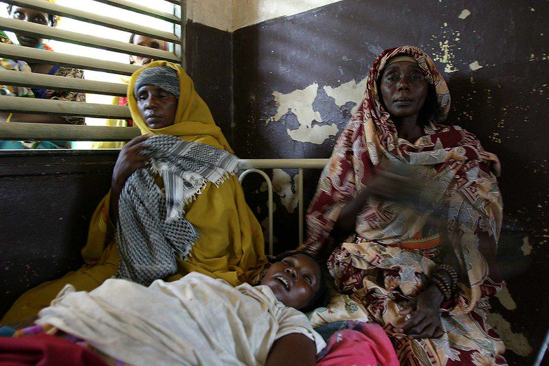 The Fight Against Mosquito-Borne Diseases 