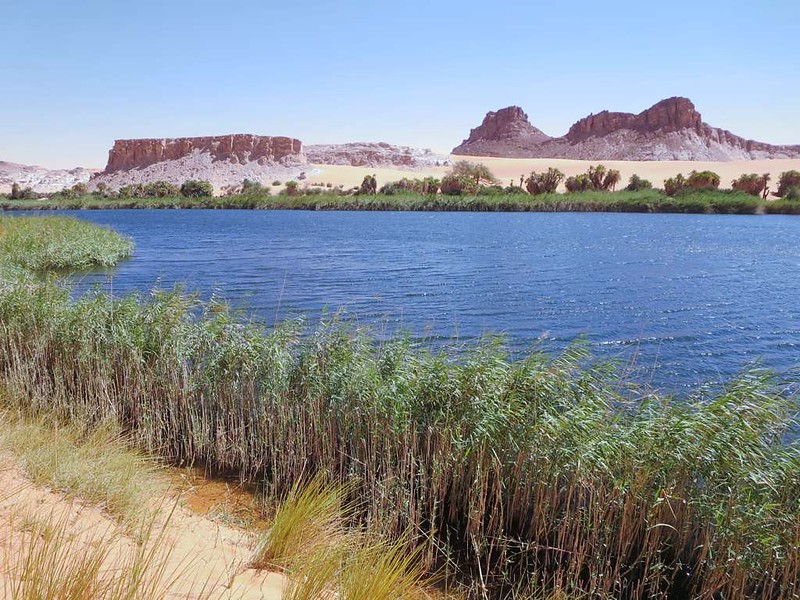 Global Water Bankruptcy