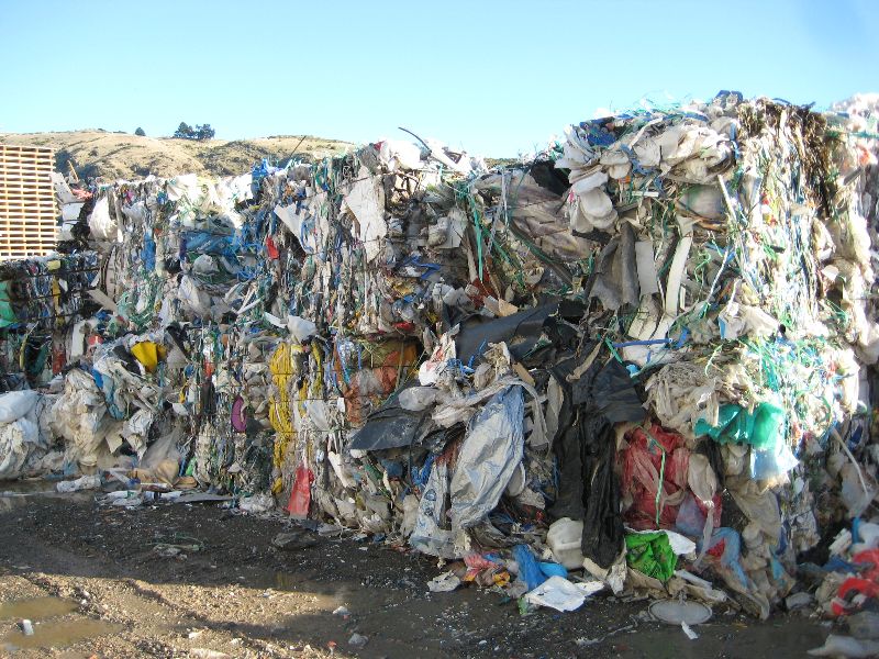 The Future of Eco Building Materials