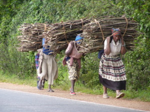 The Gender Wage Gap in Haiti