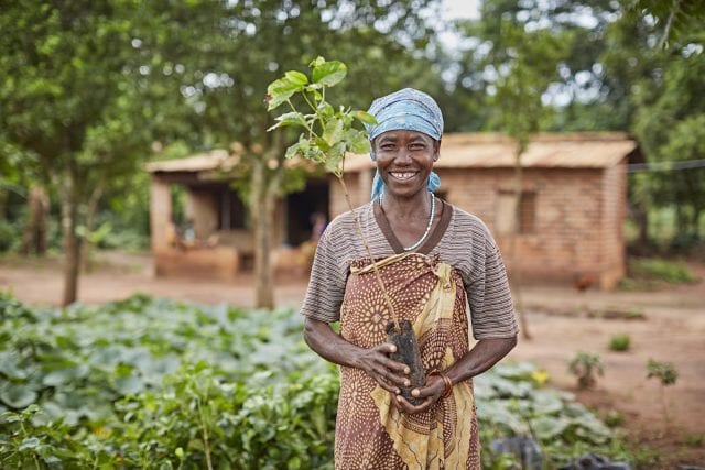 The International Women's Coffee Alliance