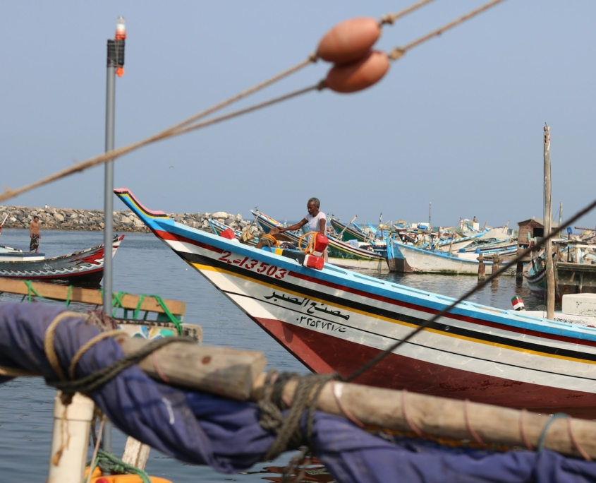 The Joint Efforts to Support the Hudaydah Agreement 