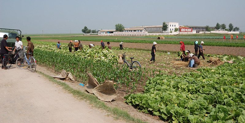 The WFP’s Efforts to Address Food Insecurity in North Korea 