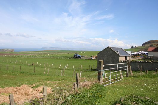 The History of Poverty in Ireland