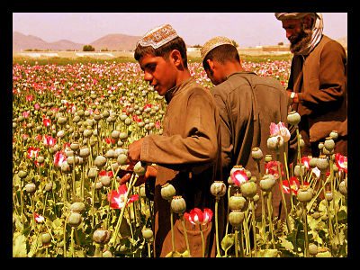 Tijikastan_heroin