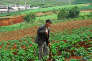 Tobacco industry labour conditions