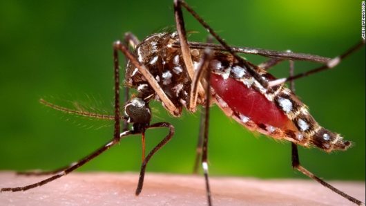 Top Diseases in Mexico