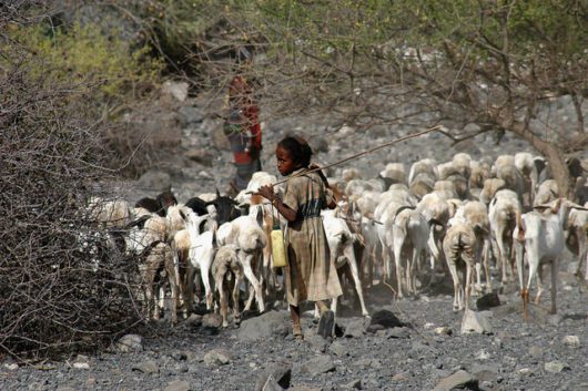 Top 10 Facts About Living Conditions in Djibouti