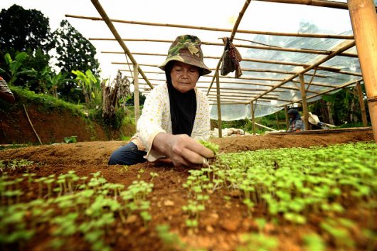 Top 10 Facts About Poverty in Indonesia