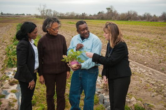 Top 10 hunger nonprofits