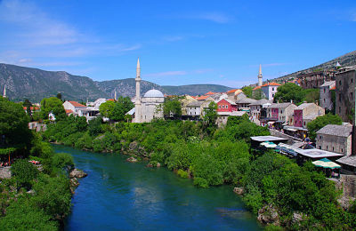 Top Diseases in Bosnia and Herzegovina