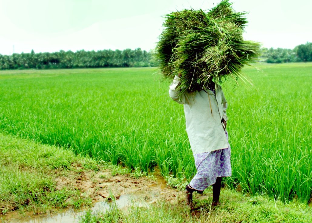 Total Literacy in Kerala