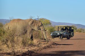 Tourism in Africa