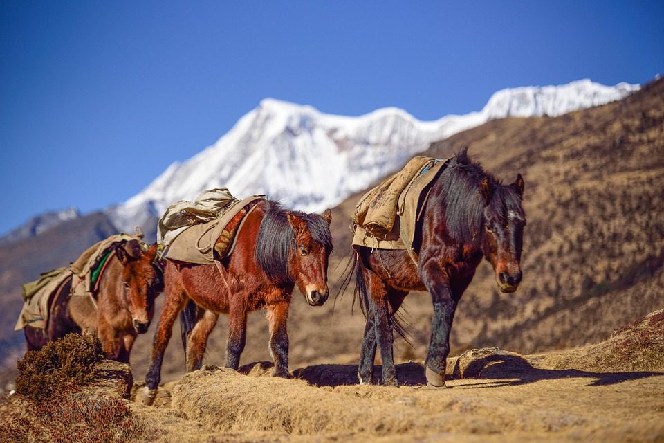 Tourism in Bhutan