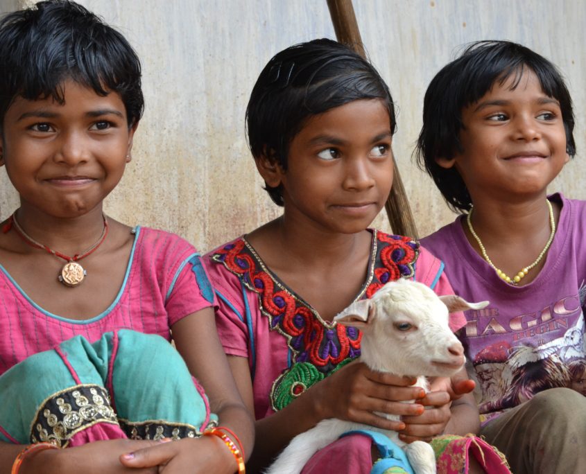 Food Security in Odisha