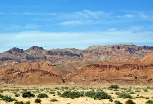 Tunisian Oases
