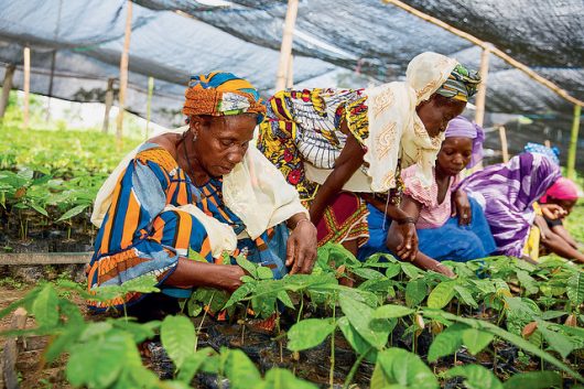 U.S. Benefits from Foreign Aid to Côte d’Ivoire