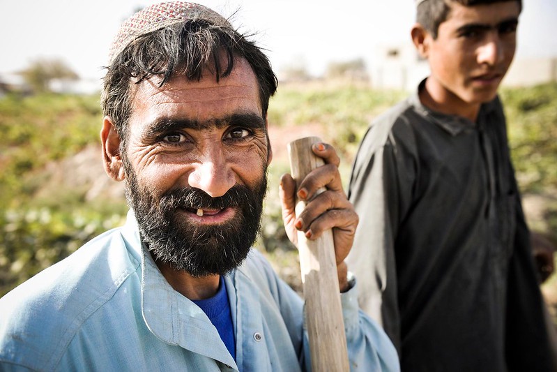 Afghanistan's Opium Poppies