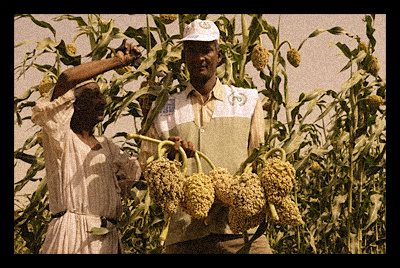 UNDP Assist Sudan's River Nile State's Villagers